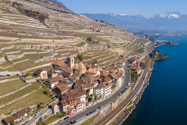 New Template - CJ (7).png